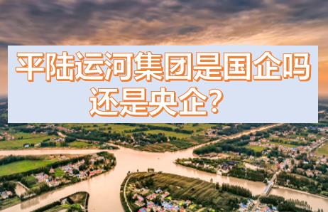 平陸運河集團是國企還是央企？平陸運河集團是什么級別的？